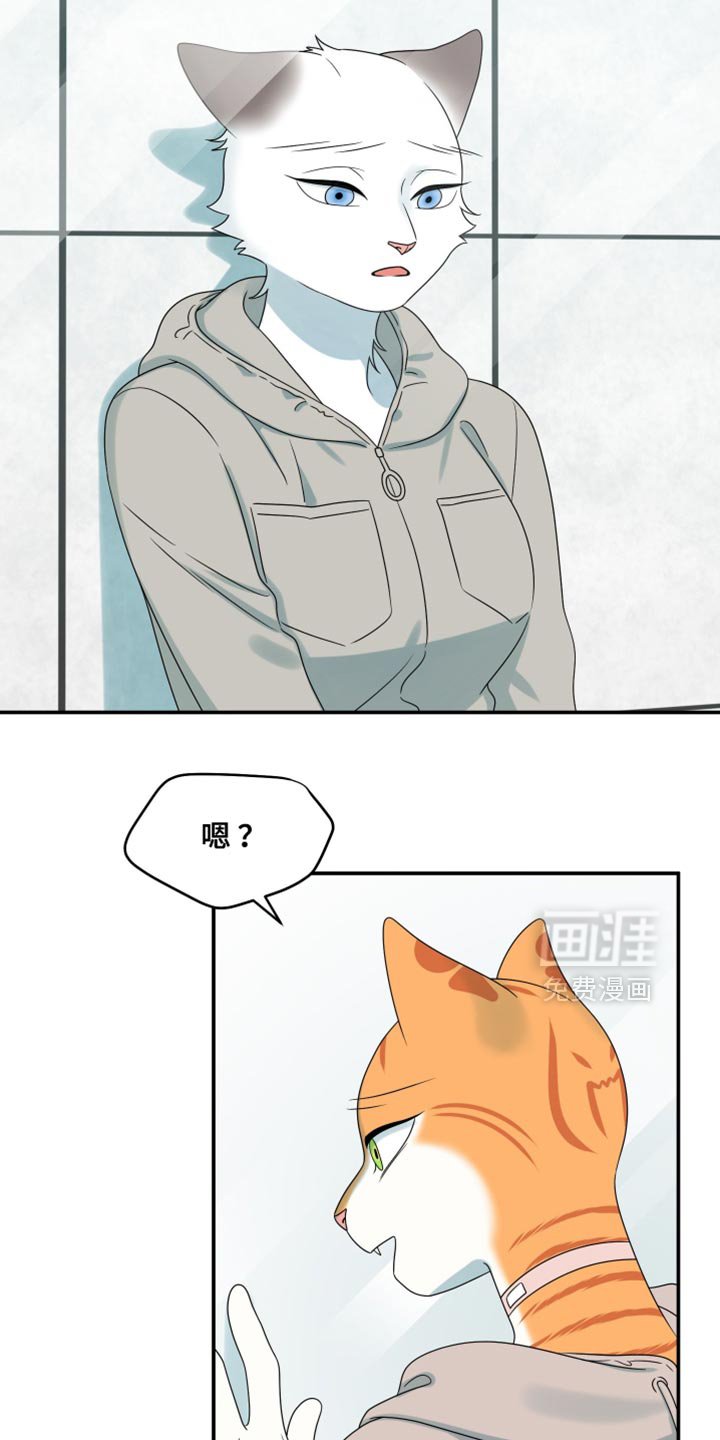 第156章：【第三季】你也一定不要有事