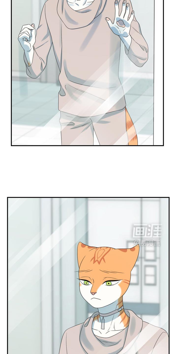 第156章：【第三季】你也一定不要有事