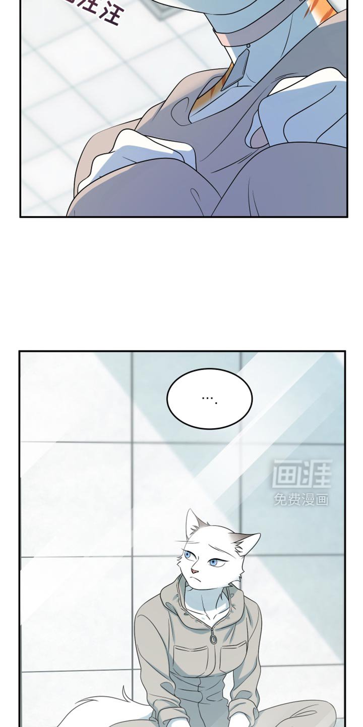 第156章：【第三季】你也一定不要有事