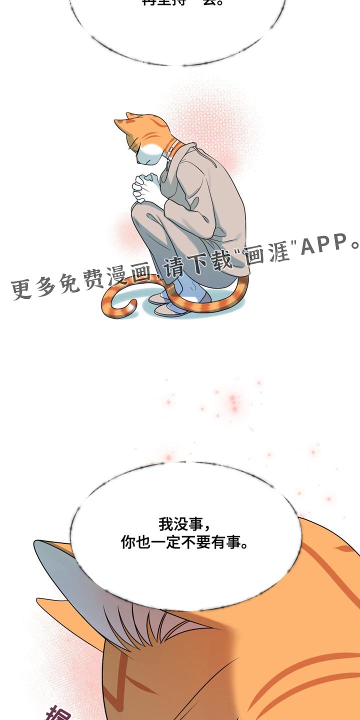 第156章：【第三季】你也一定不要有事