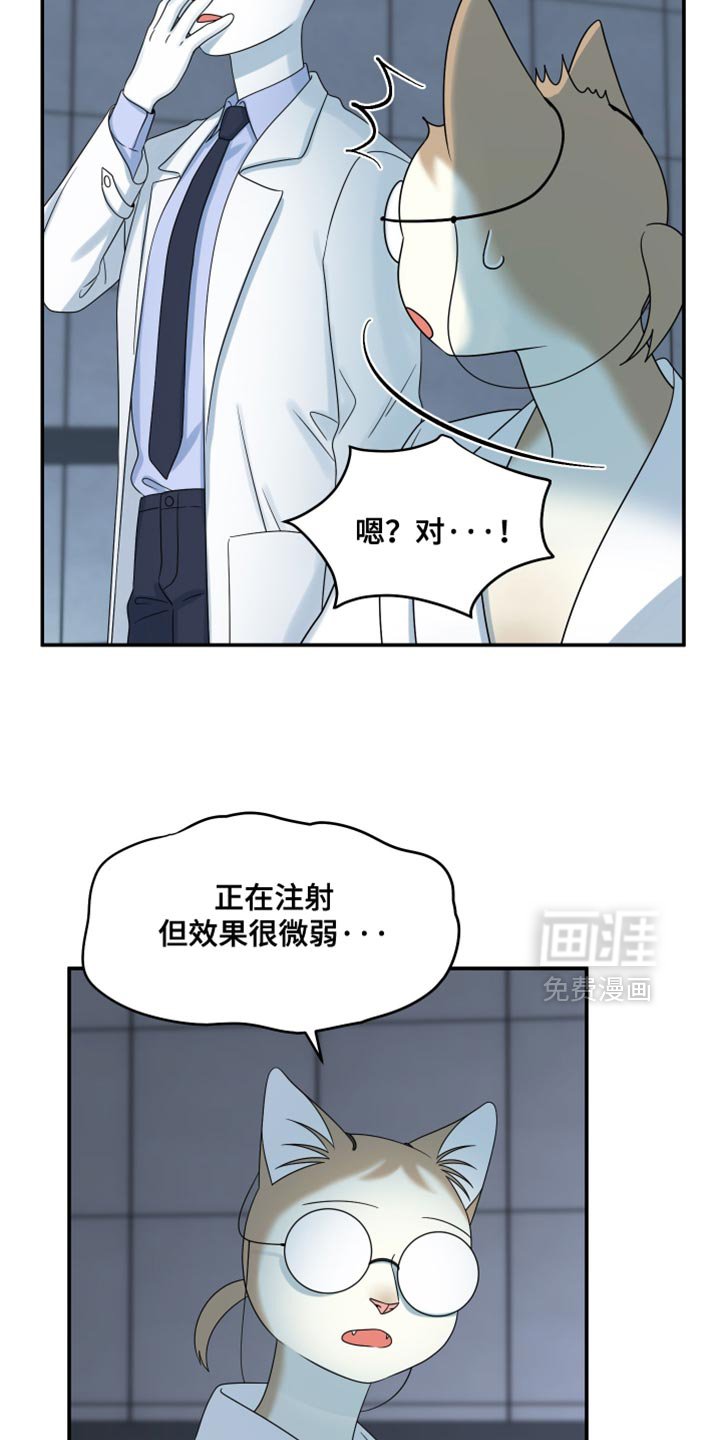 第157章：【第三季】只能这么做