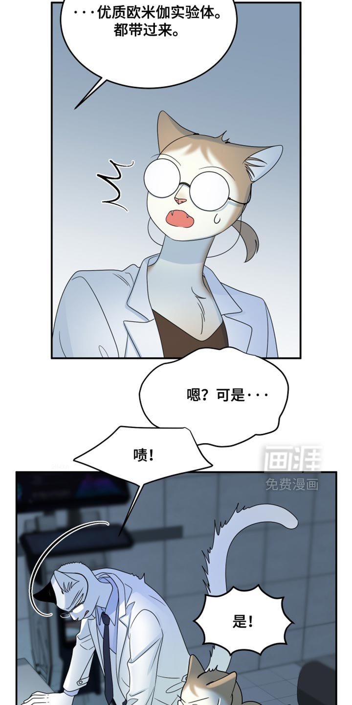 第157章：【第三季】只能这么做