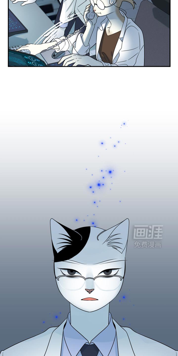 第157章：【第三季】只能这么做