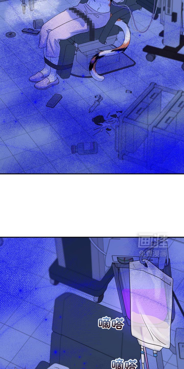 第157章：【第三季】只能这么做