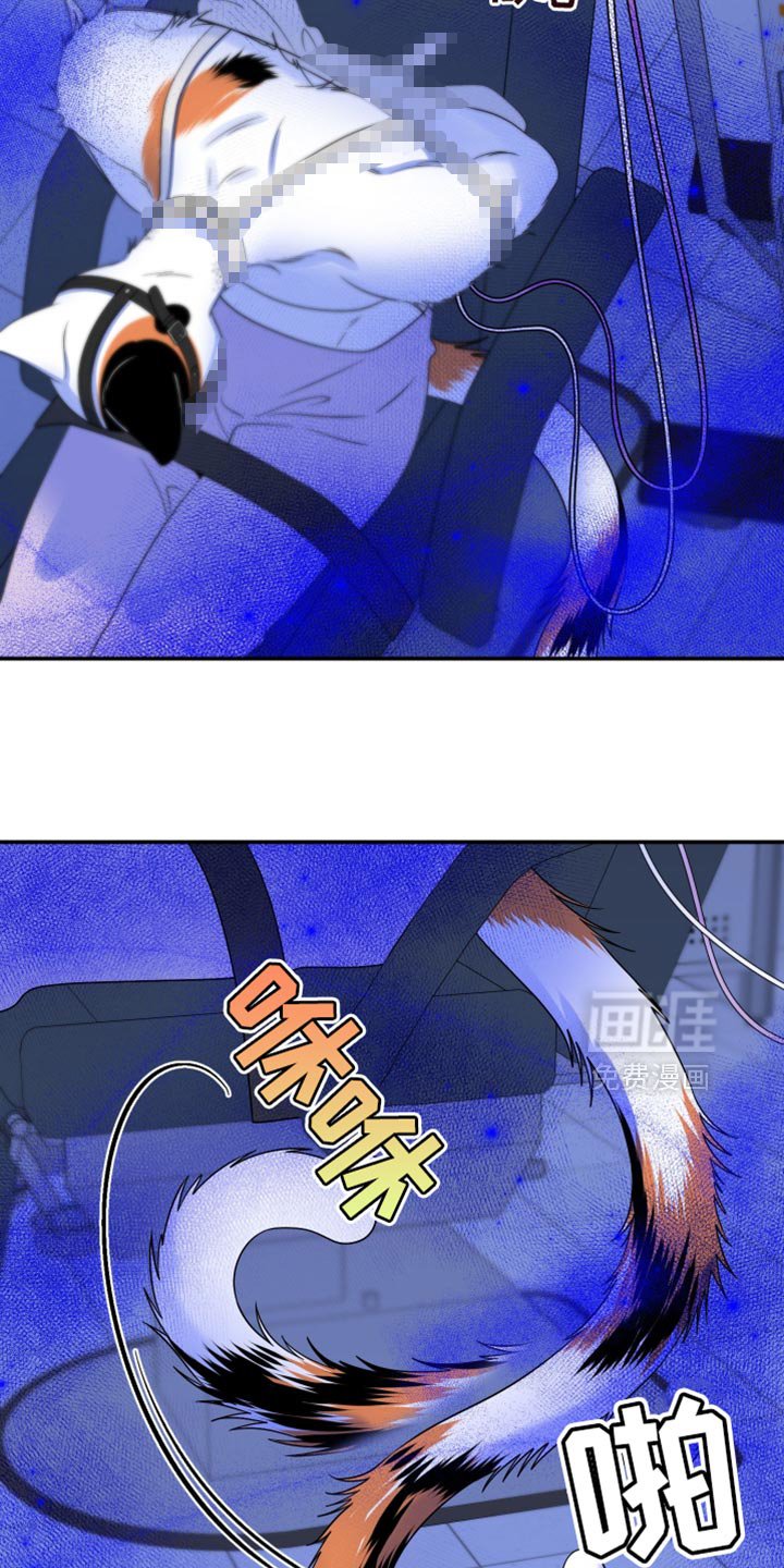 第157章：【第三季】只能这么做