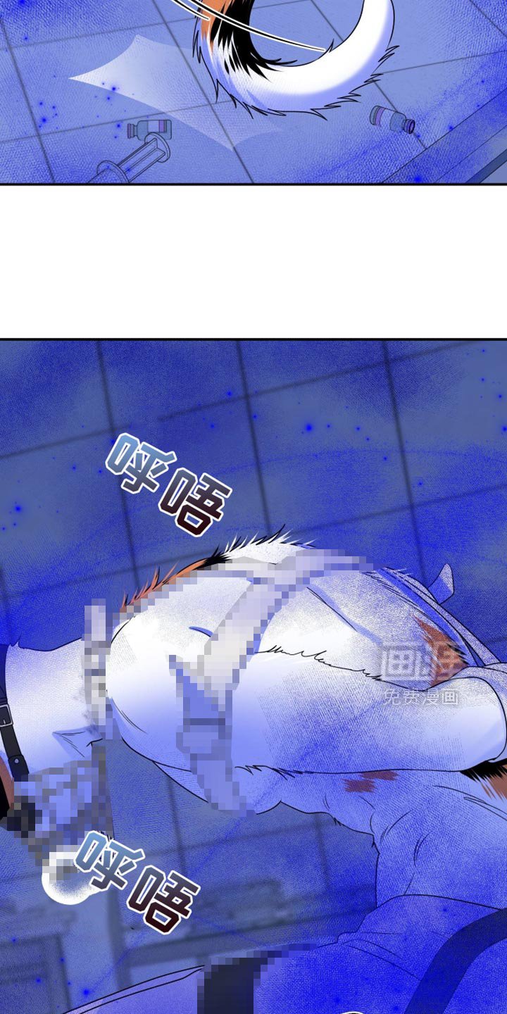 第157章：【第三季】只能这么做