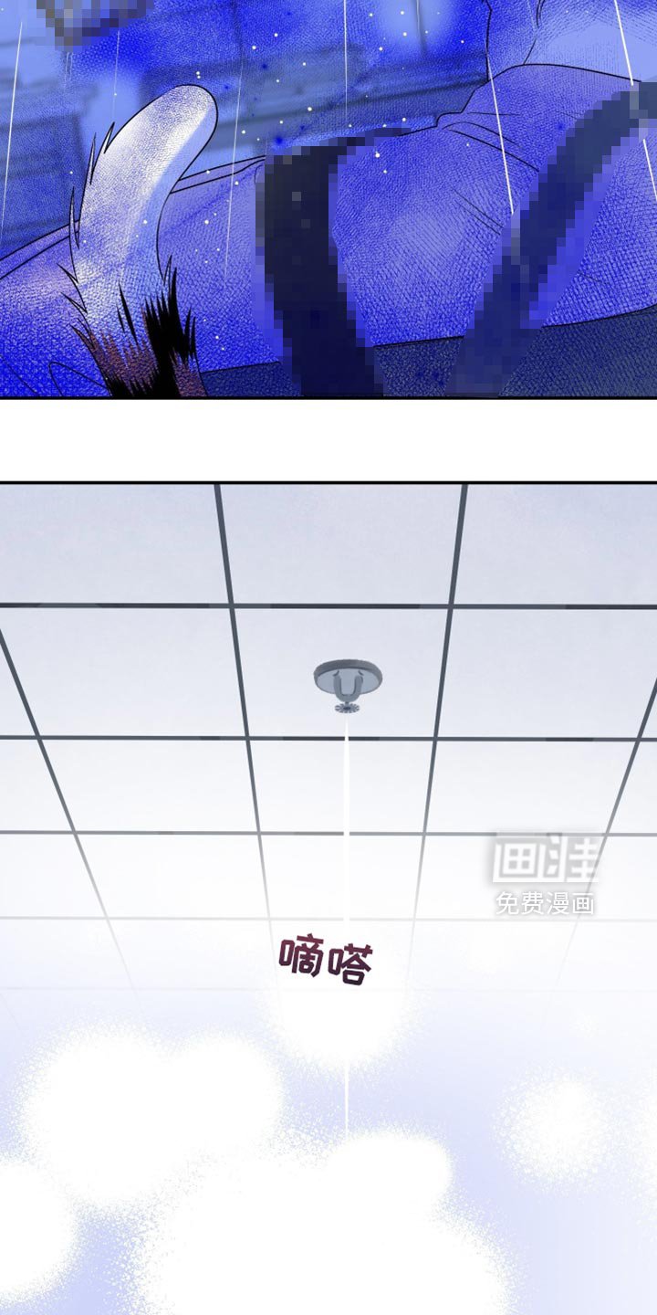 第157章：【第三季】只能这么做