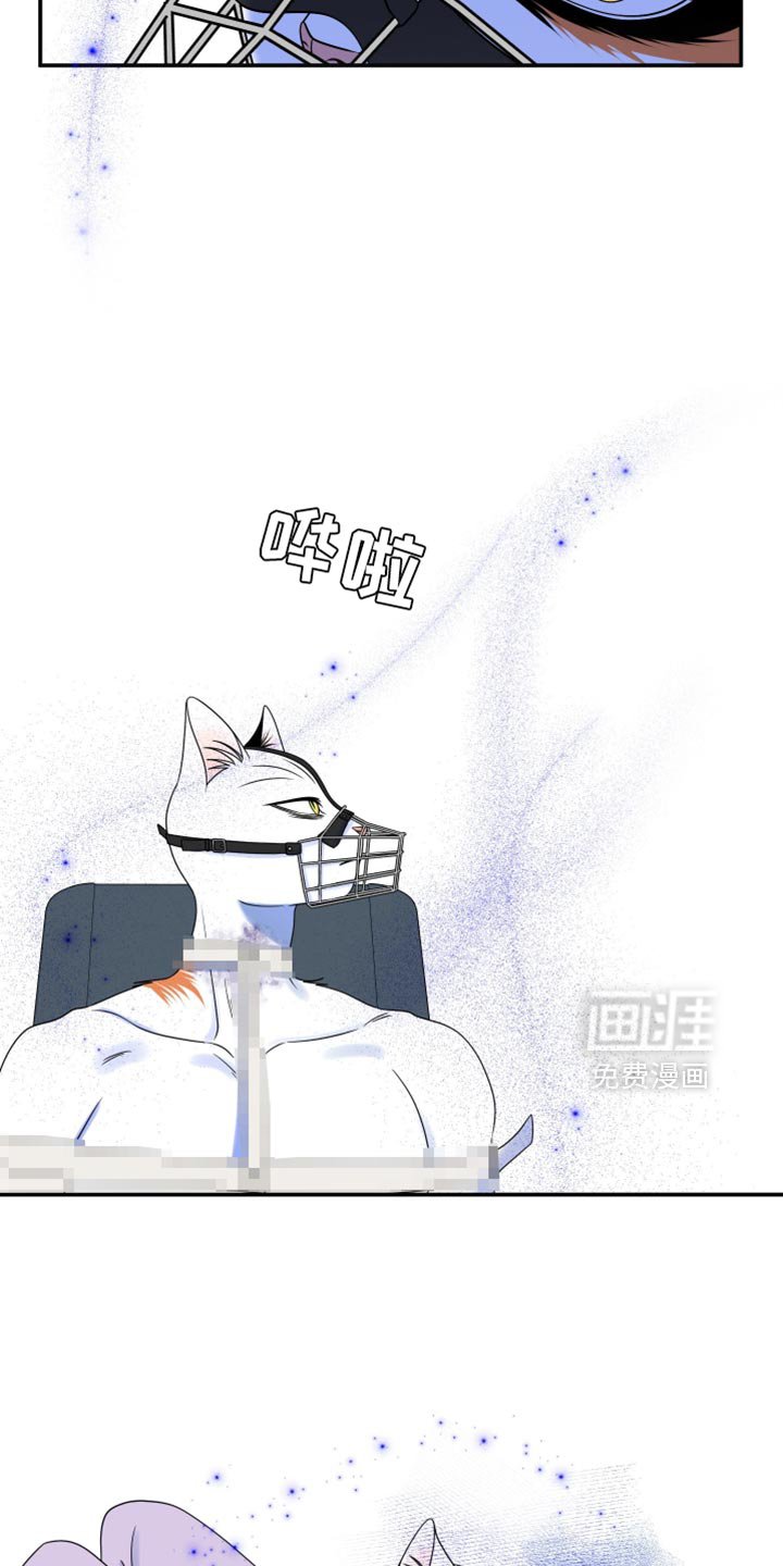 第158章：【第三季】抗拒做检查