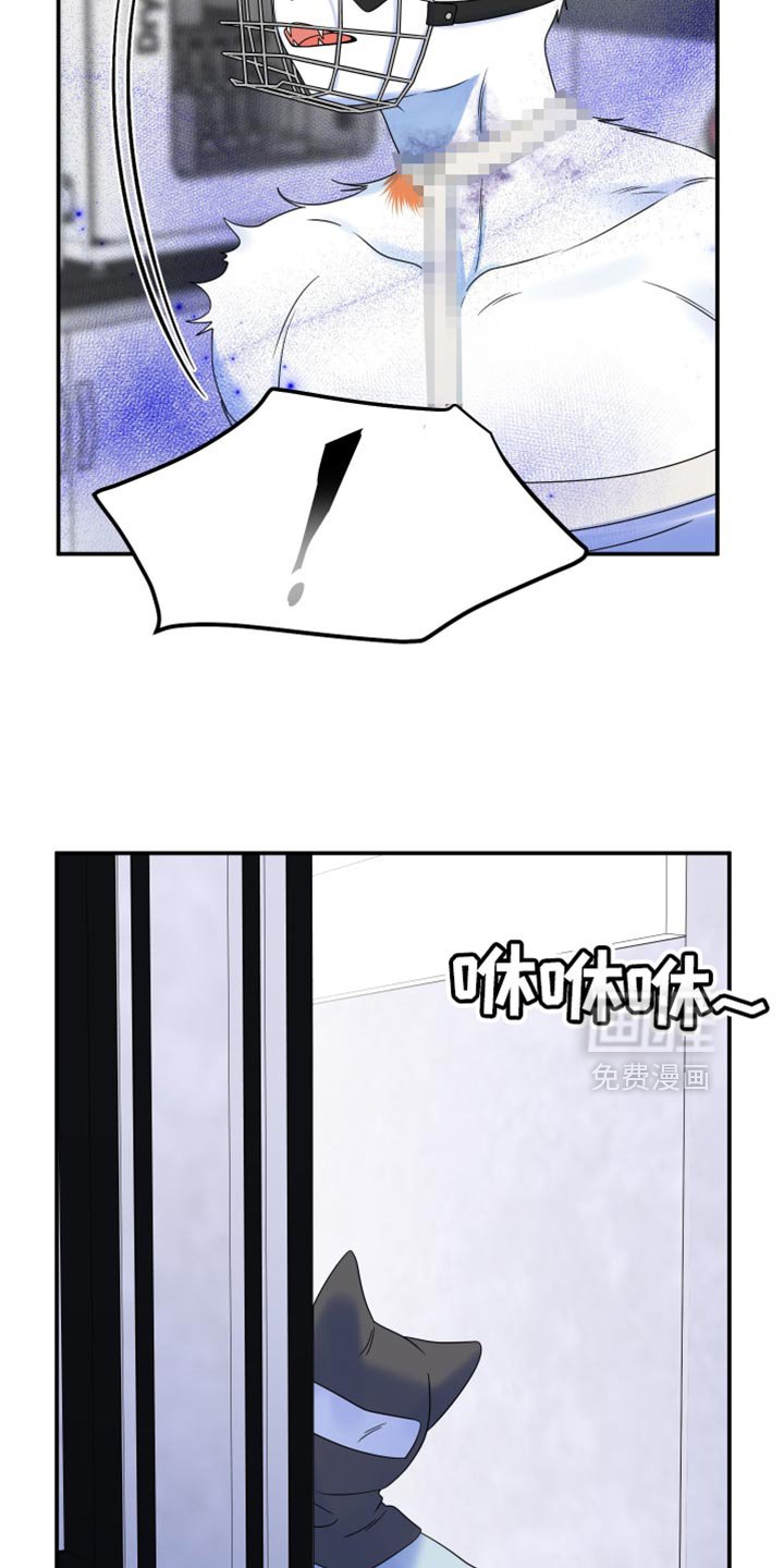 第158章：【第三季】抗拒做检查