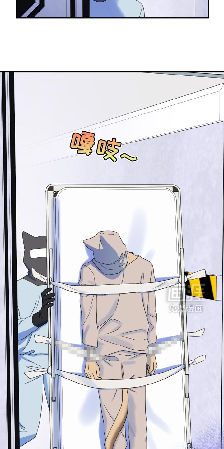 第158章：【第三季】抗拒做检查