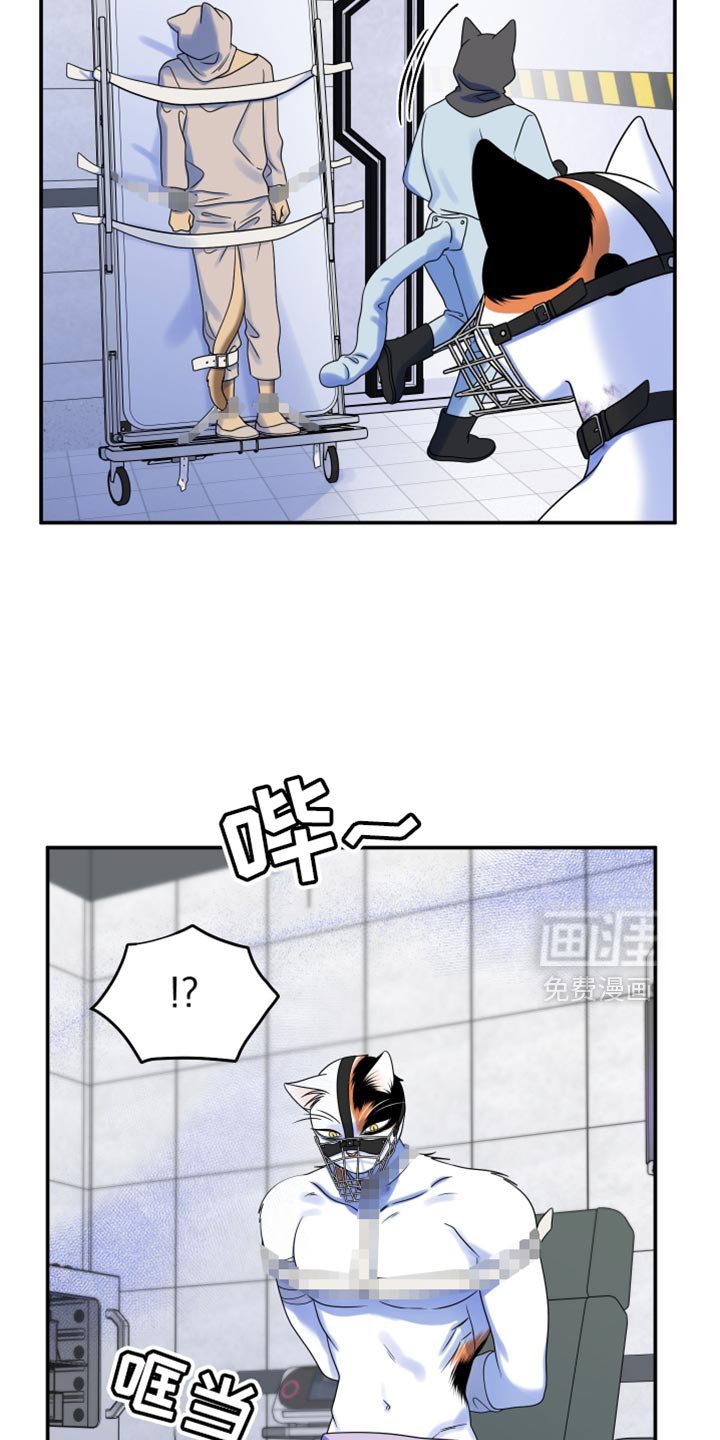 第158章：【第三季】抗拒做检查