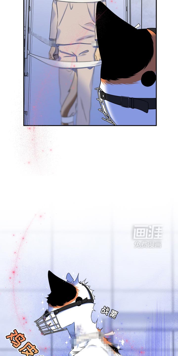 第158章：【第三季】抗拒做检查