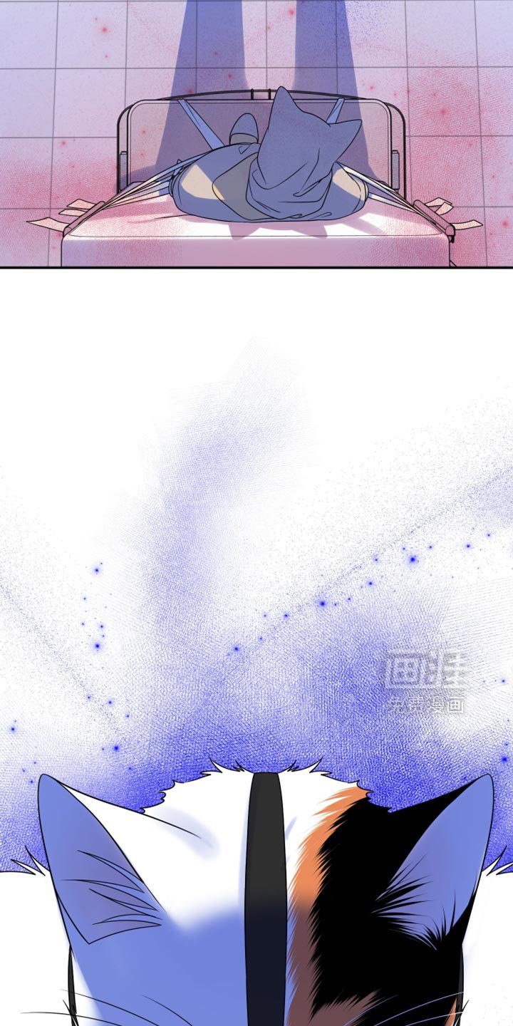 第158章：【第三季】抗拒做检查