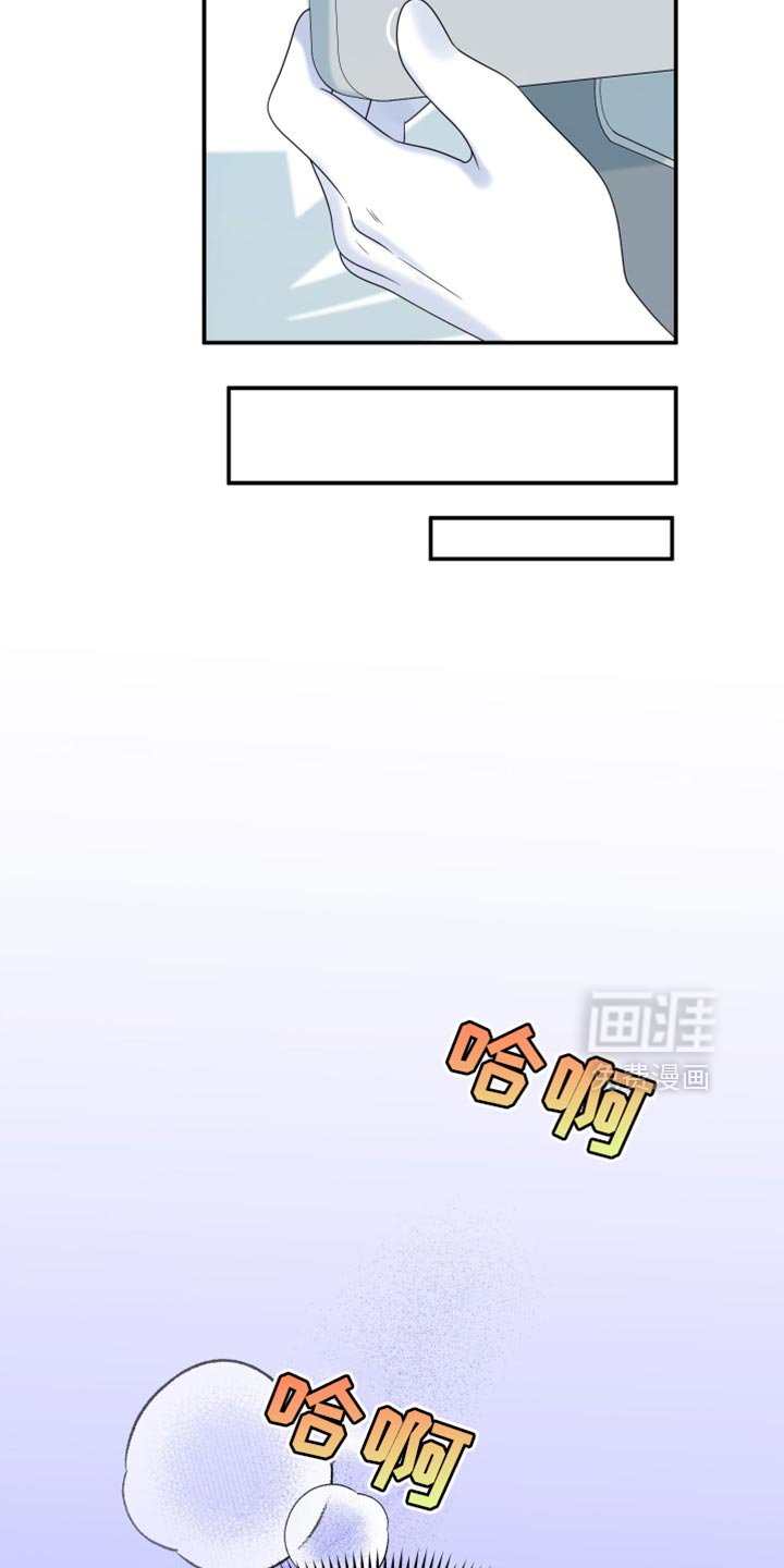第159章：【第三季】宝贵的猫