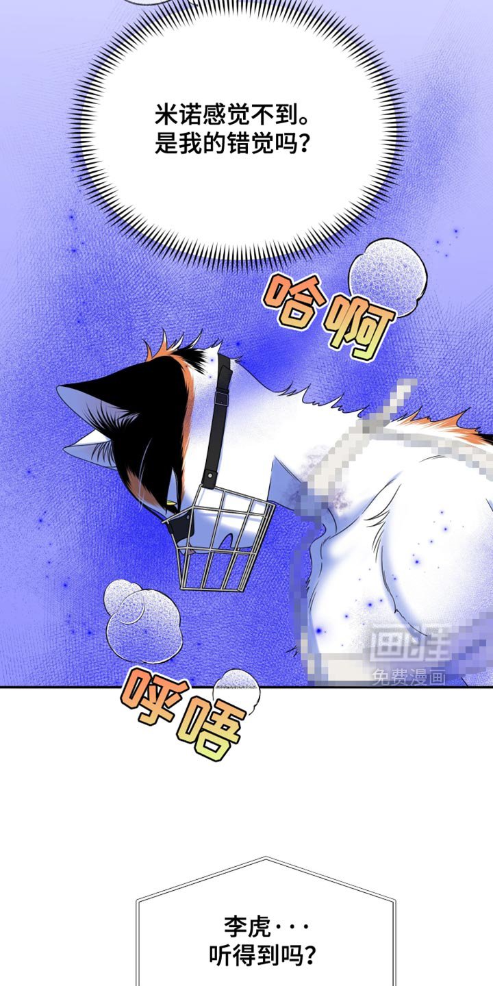 第159章：【第三季】宝贵的猫