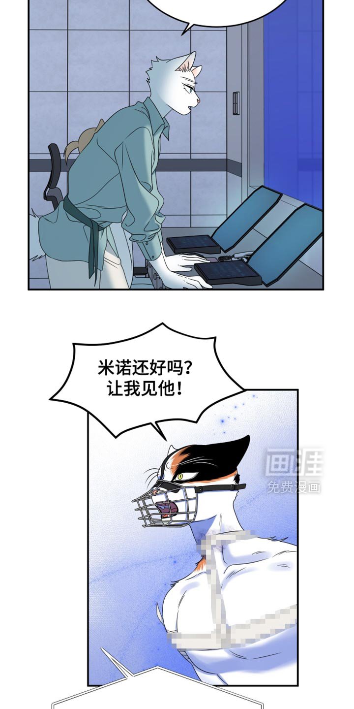 第159章：【第三季】宝贵的猫