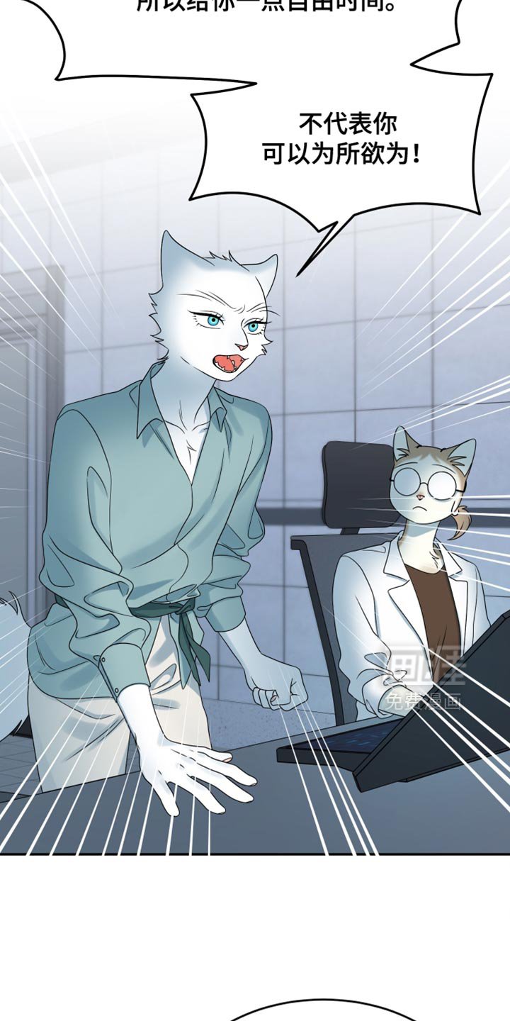 第159章：【第三季】宝贵的猫