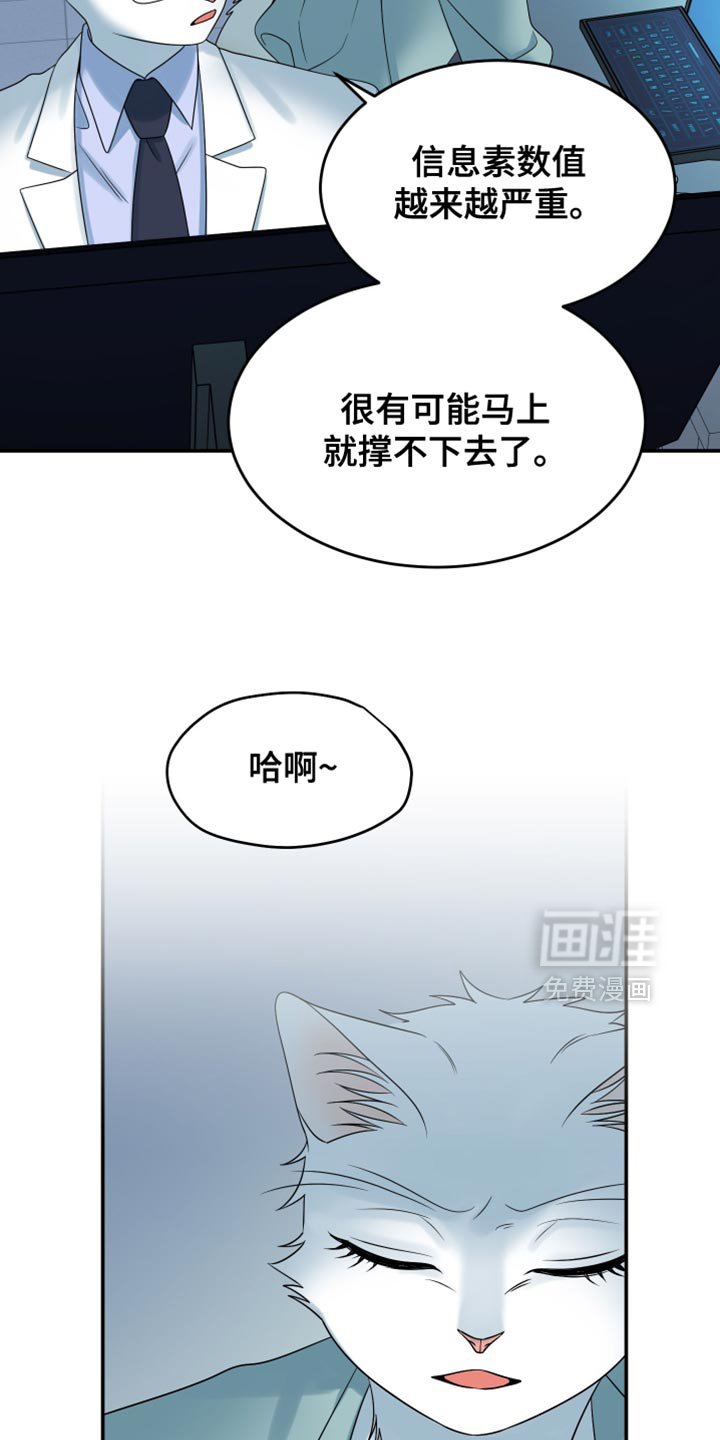 第159章：【第三季】宝贵的猫
