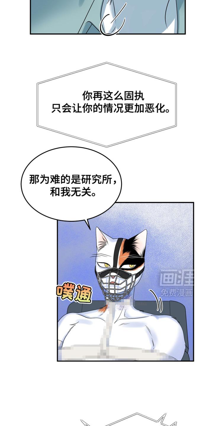 第159章：【第三季】宝贵的猫