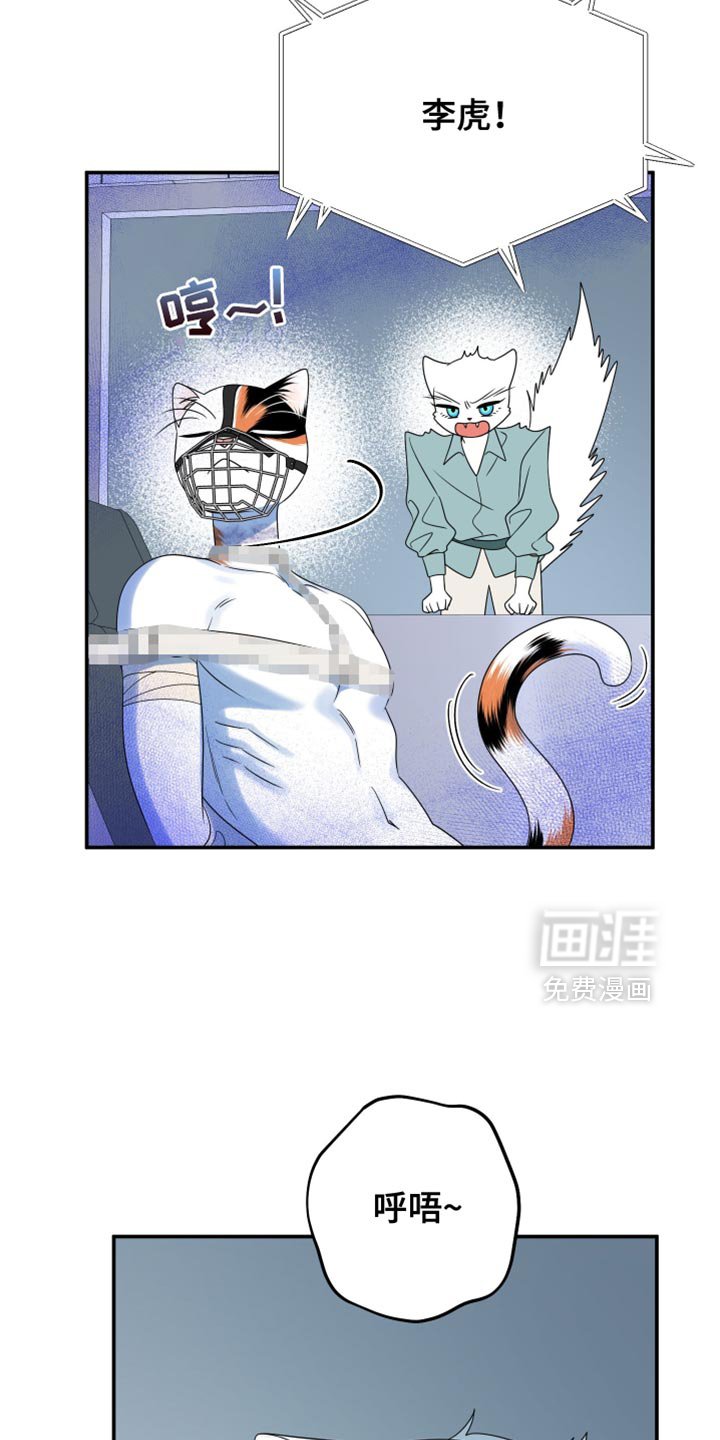 第159章：【第三季】宝贵的猫