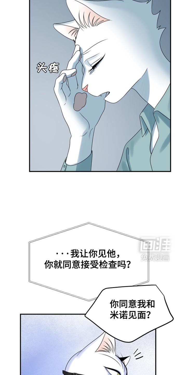 第159章：【第三季】宝贵的猫