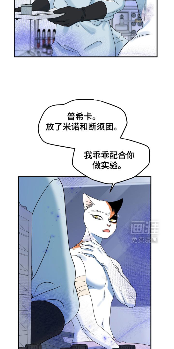 第159章：【第三季】宝贵的猫
