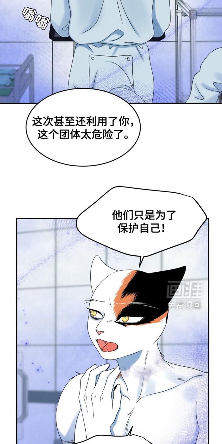 第159章：【第三季】宝贵的猫