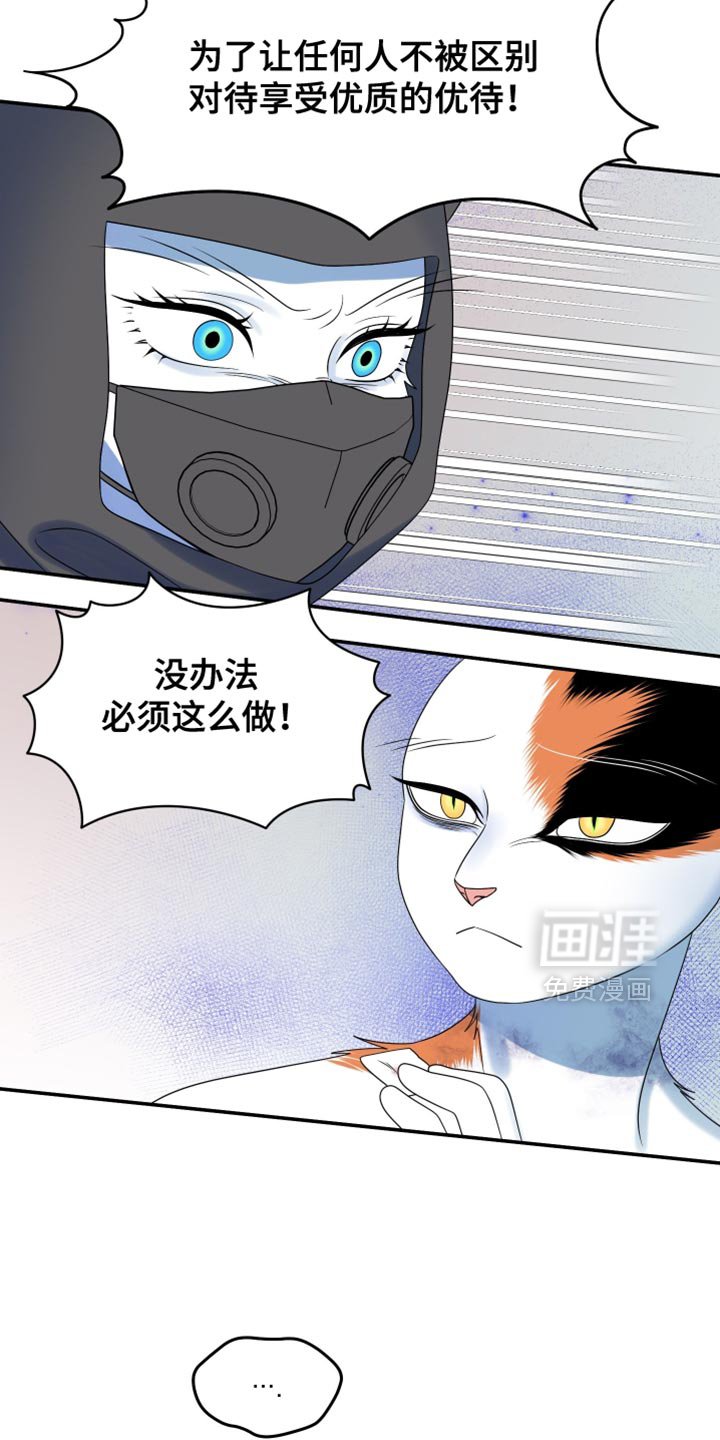 第159章：【第三季】宝贵的猫