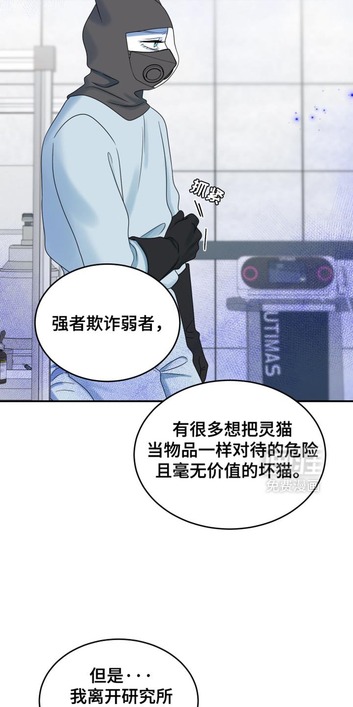 第159章：【第三季】宝贵的猫