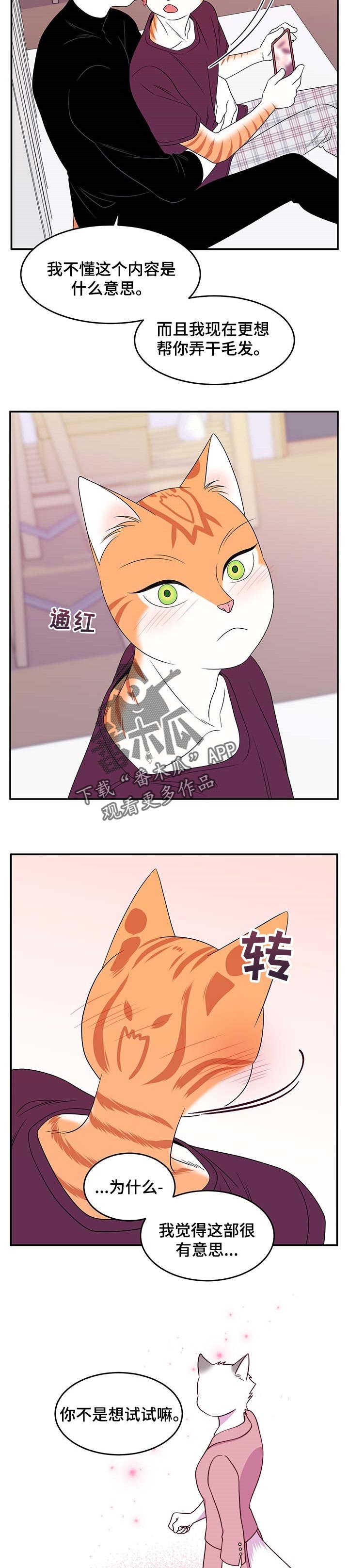第16章：早去早回