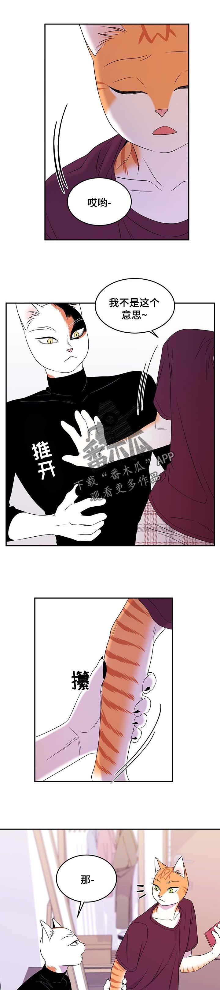 第16章：早去早回