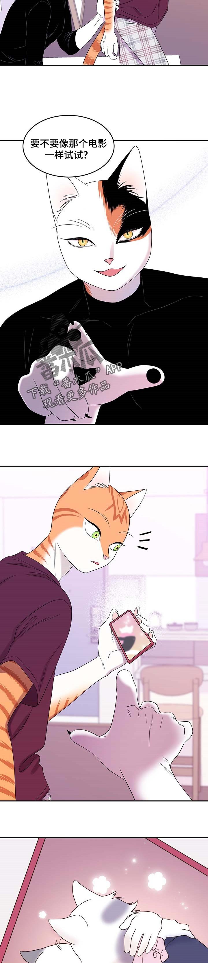 第16章：早去早回