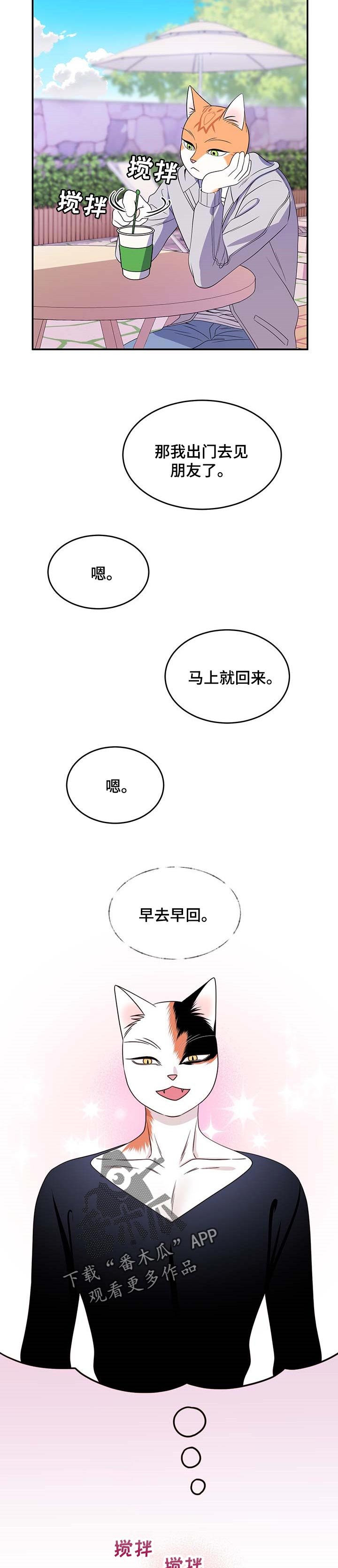 第16章：早去早回