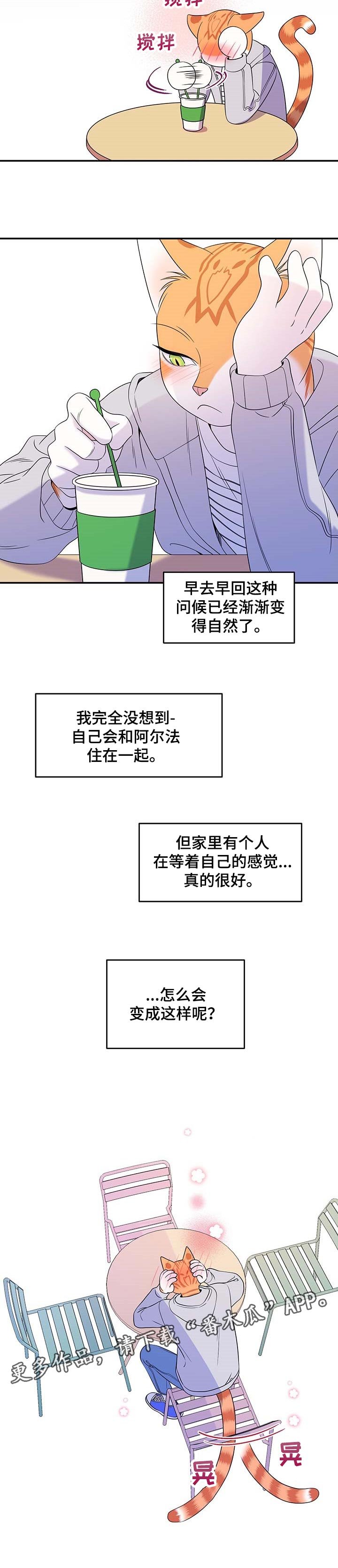 第16章：早去早回