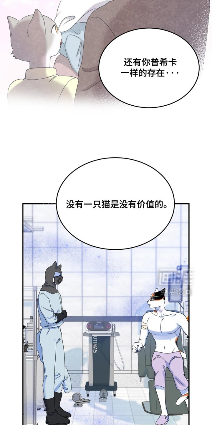 第160章：【第三季】我会怎么做