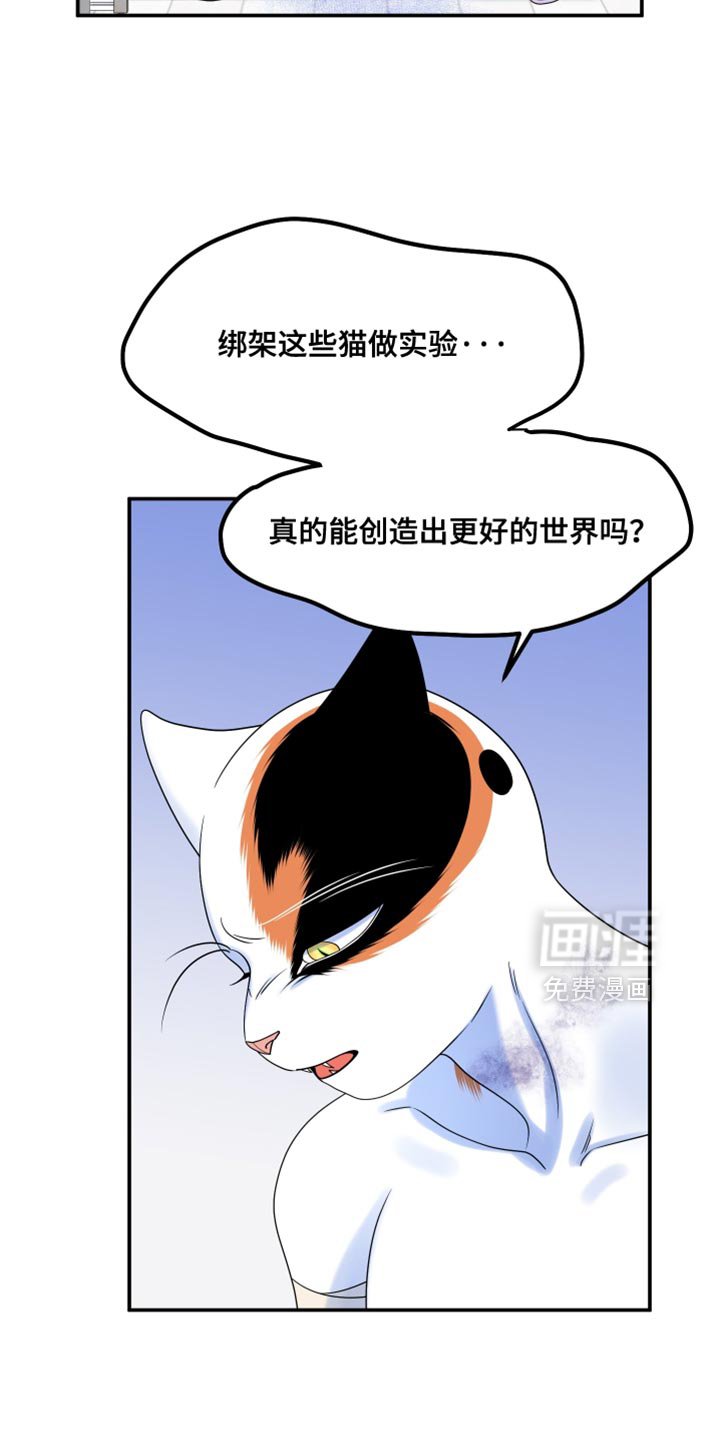 第160章：【第三季】我会怎么做