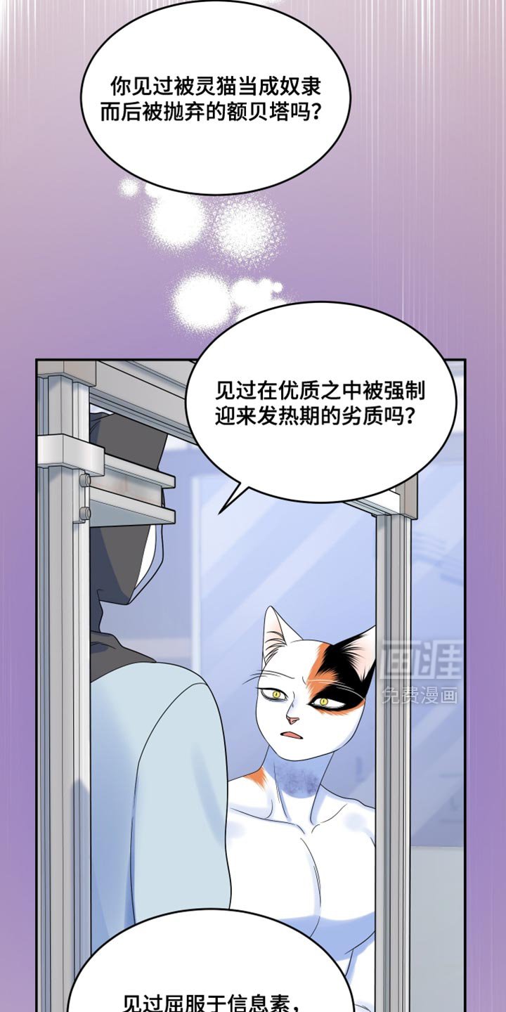 第160章：【第三季】我会怎么做