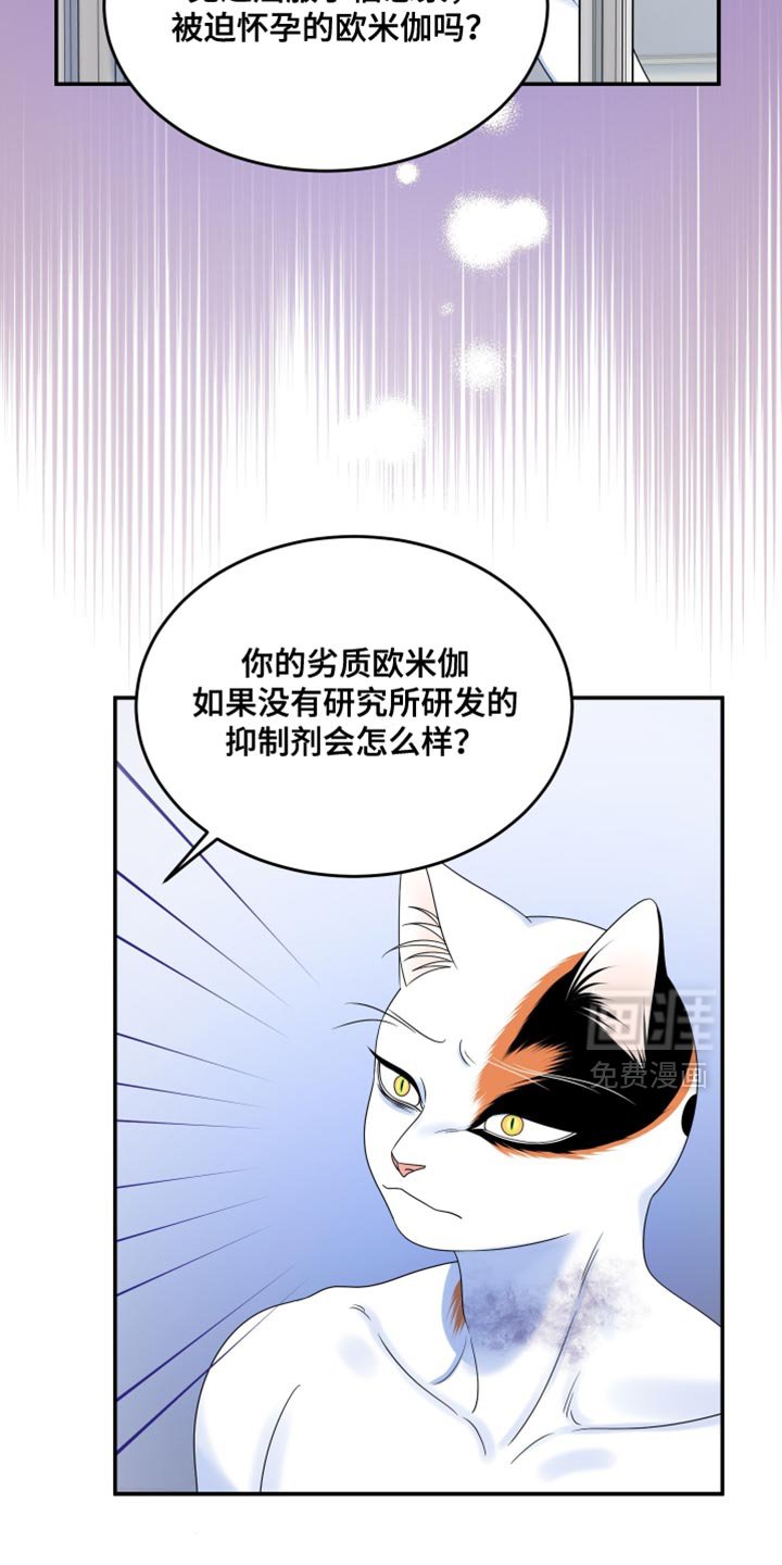 第160章：【第三季】我会怎么做
