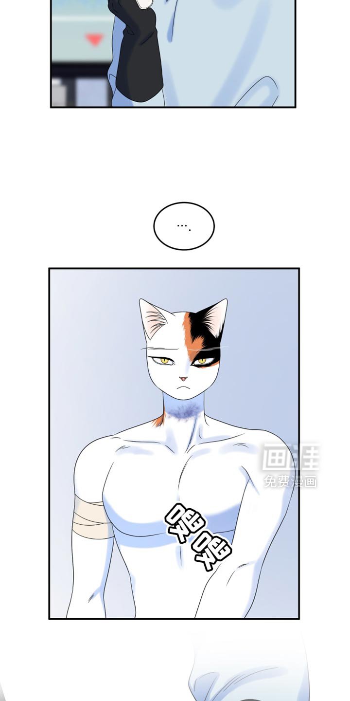 第161章：【第三季】你答应过我
