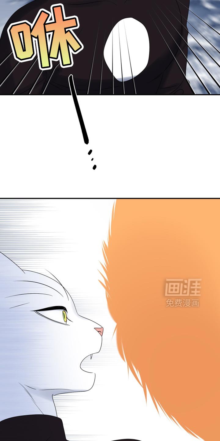 第162章：【第三季】现在和未来更重要
