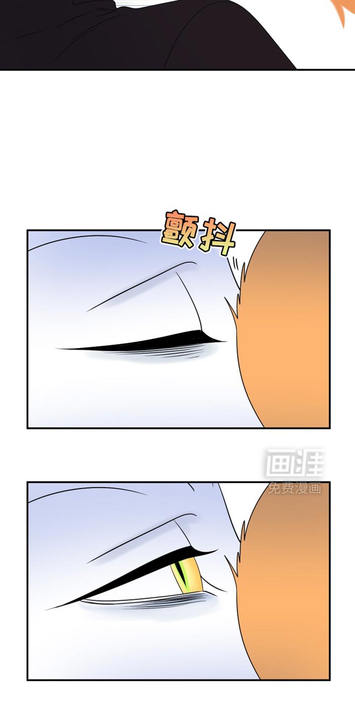 第162章：【第三季】现在和未来更重要