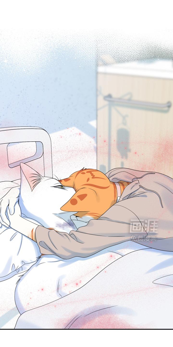 第162章：【第三季】现在和未来更重要