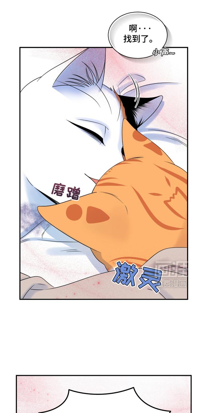 第162章：【第三季】现在和未来更重要