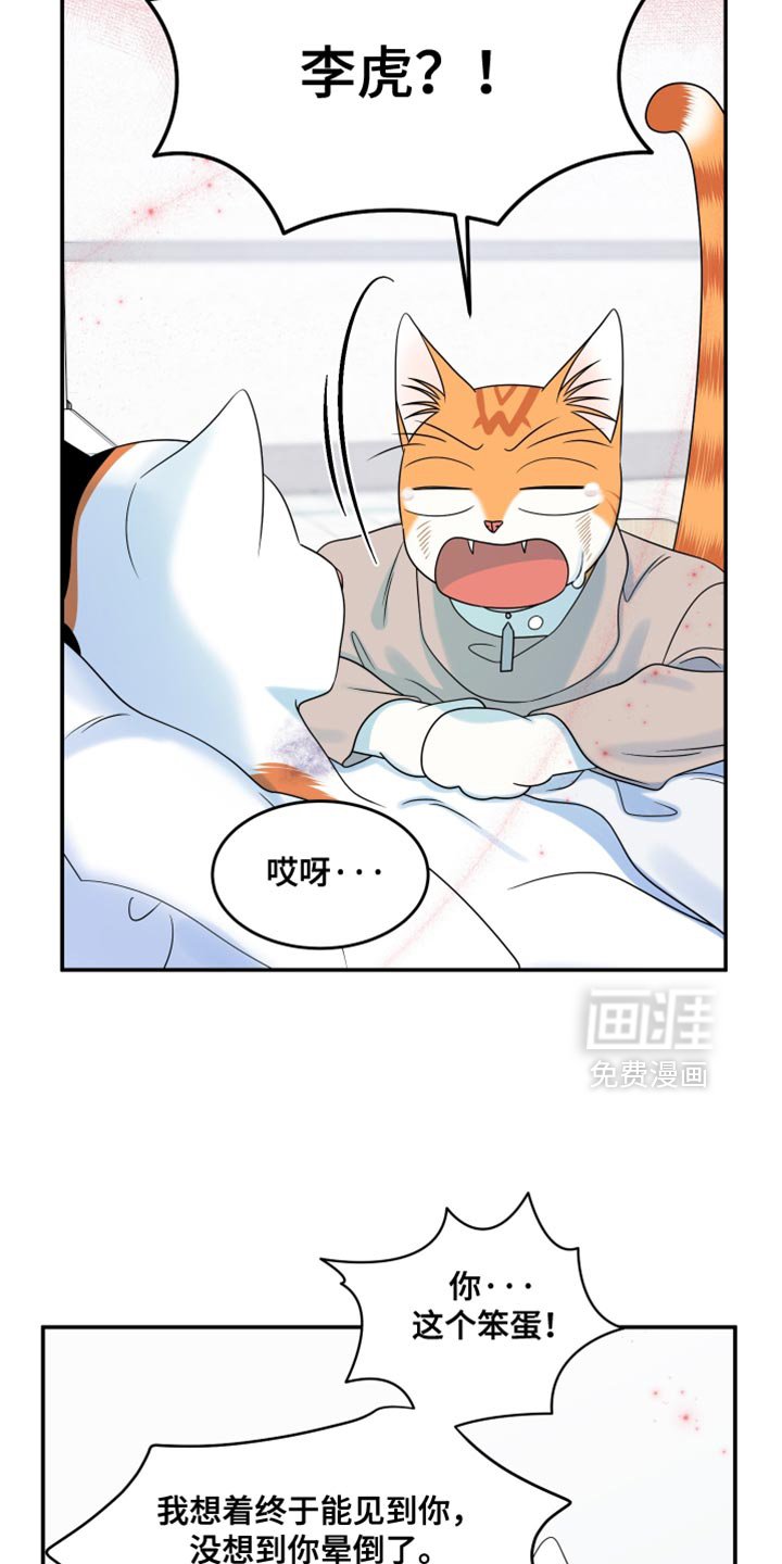 第162章：【第三季】现在和未来更重要