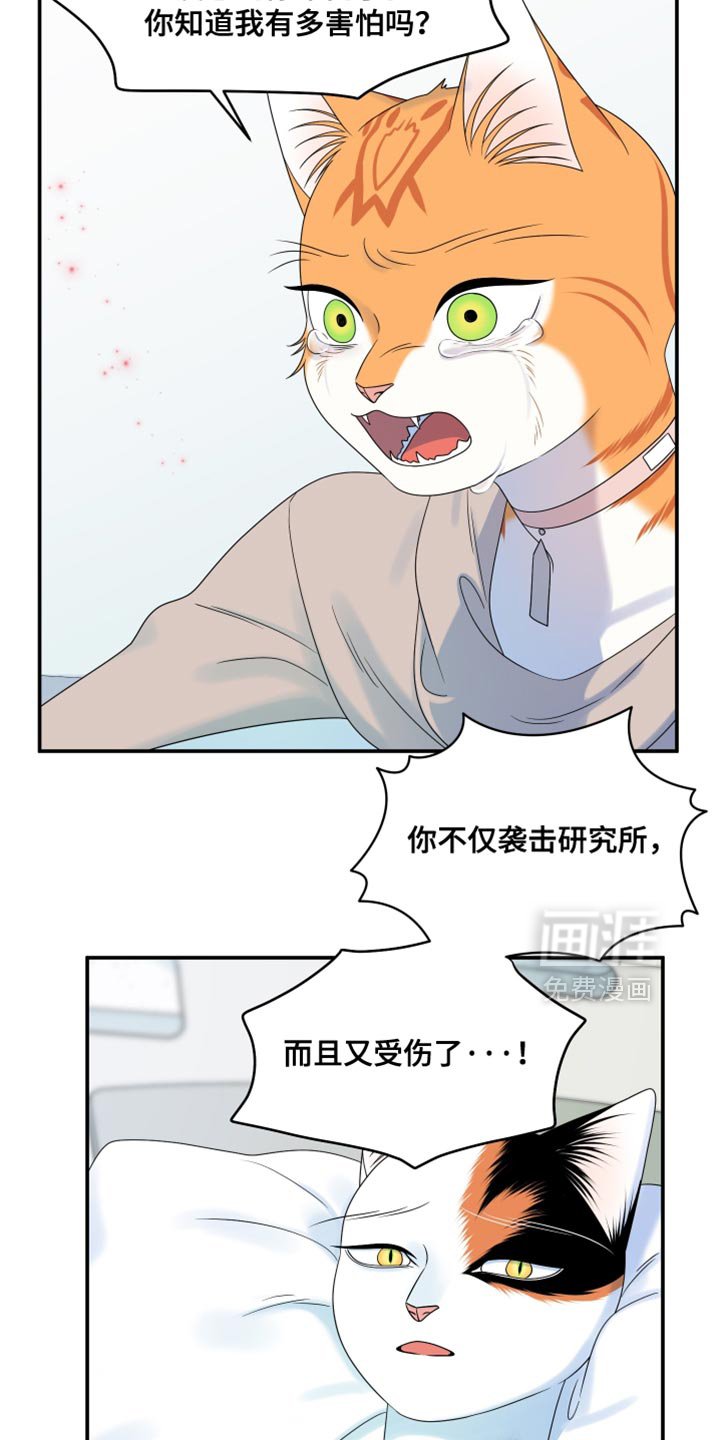 第162章：【第三季】现在和未来更重要