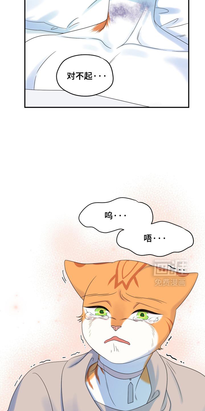 第162章：【第三季】现在和未来更重要