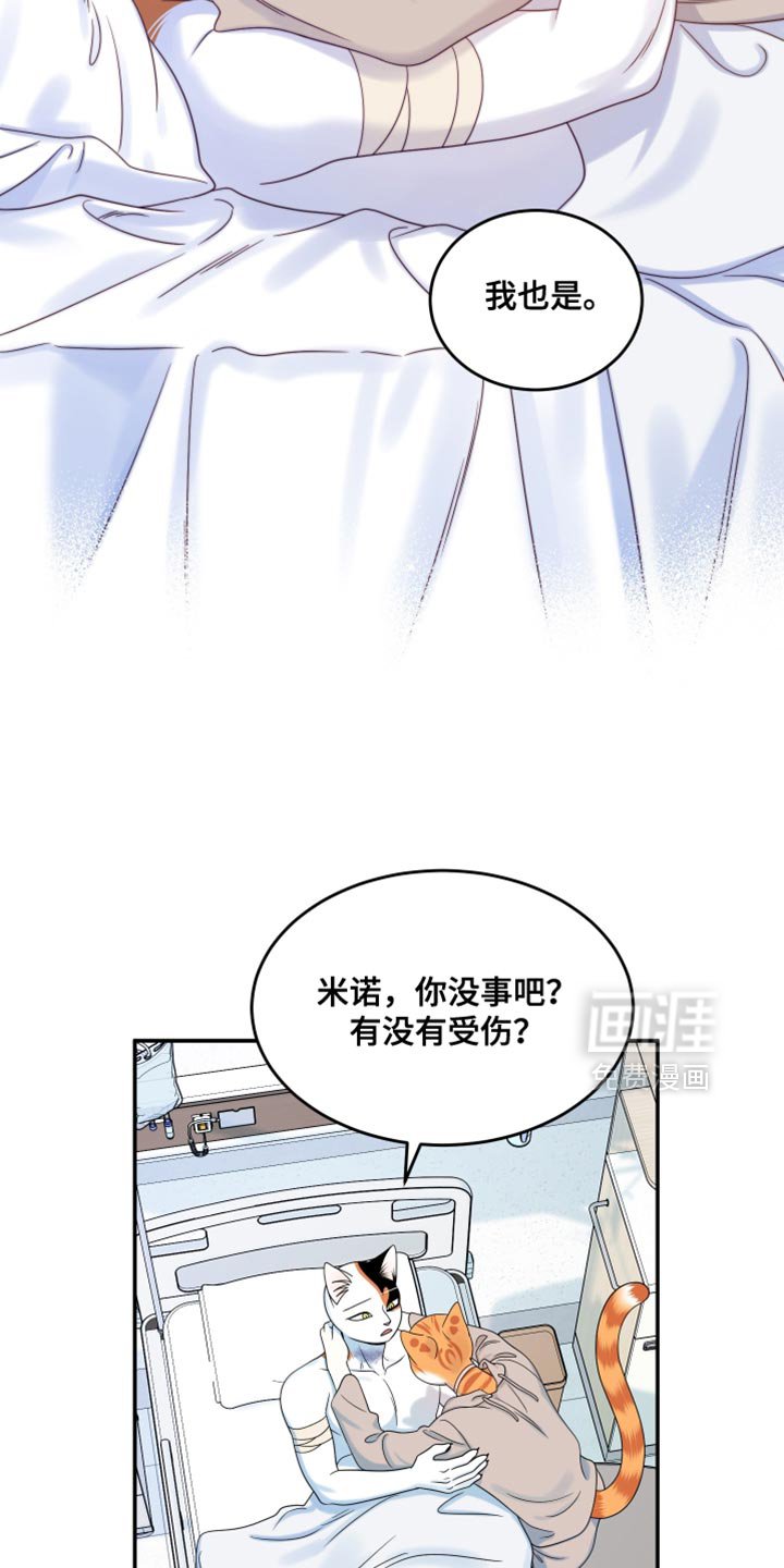 第162章：【第三季】现在和未来更重要