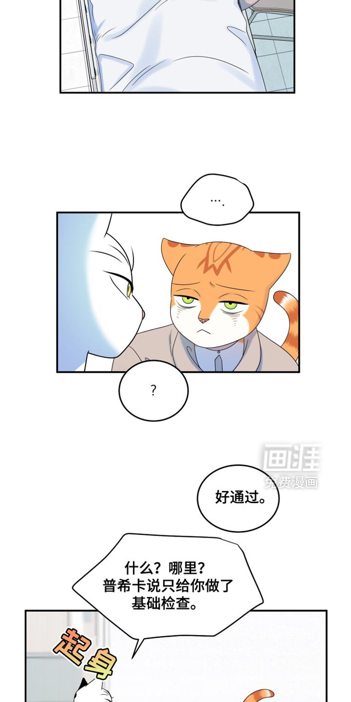 第162章：【第三季】现在和未来更重要