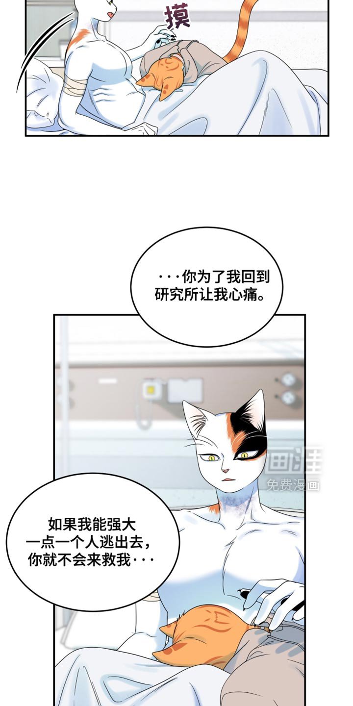 第162章：【第三季】现在和未来更重要