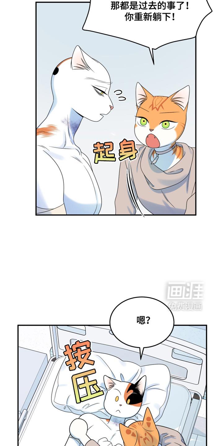 第162章：【第三季】现在和未来更重要